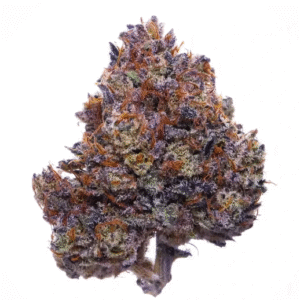 Buy Purple Haze Online in Dubai